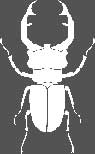 Armybug