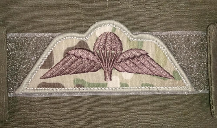 TAS AT Para Wings MultiCam® TAS AT Para Wings MultiCam®