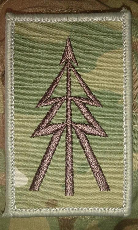 TAS RECCE Tree / Flash (Reconnaissance Military Symbol) MultiCam®